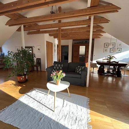 Grosse Wohnung Mit Dachterrasse In Starnberg Esterno foto